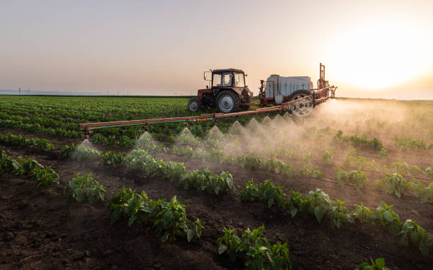 Best Mosquito Control Services  in Makakilo, HI