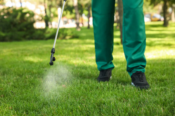 Professional Pest Control in Makakilo, HI