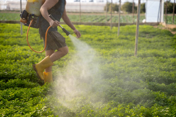 Best Pest Prevention Services  in Makakilo, HI